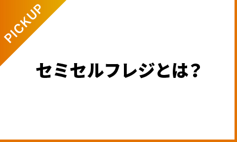 セミセルフレジとは？